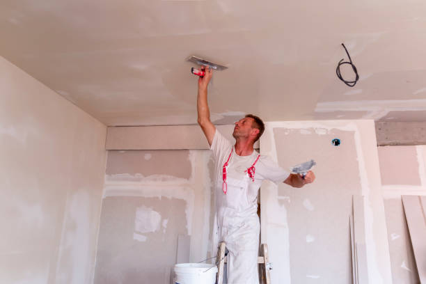 Best Ceiling Drywall Installation  in Wanaque, NJ